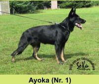 Ayoka (Nr. 1)