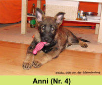 Anni (Nr. 4)