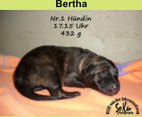 Bertha