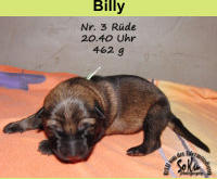 Billy