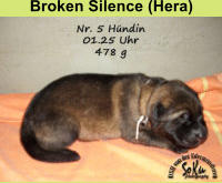 Broken Silence (Hera)