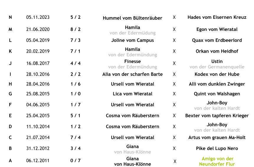 Wurf Wurftag Wurfstärke Rüden / Hündinnen Mutter  Vater N 05.11.2023 5 / 2 Hummel vom Bültenräuber X Hades vom Eisernen Kreuz M 21.06.2020 8 / 2 Hamila  von der Edermüdung X Egon vom Wieratal L 05.04.2019 7 / 3 Joline vom Campus X Quax vom Erdbeerlord K 20.02.2019 7 / 1 Hamila  von der Edermündung X Orkan vom Heidhof J 16.08.2017 4 / 4 Finesse von der Edermündung X Ustin  von der Germanenquelle I 28.10.2016 2 / 2 Alia von der scharfen Barte X Kodex von der Hube H 28.04.2016 1 / 6 Ursell vom Wieratal X Alli vom dunklen Zwinger G 25.08.2015 1 / 0 Lica vom Wieratal X Quint von Walshagen F 04.06.2015 1 / 7 Ursell vom Wieratal X John-Boy von der kalten Hardt E 25.04.2015 5 / 1 Cosma vom Räuberstern X Bexter vom tapferen Krieger D 11.10.2014 1 / 2 Cosma vom Räuberstern X John-Boy  von der kalten Hardt C 21.07.2014 7 / 4 Ursell vom Wieratal X Artus vom grauen Ma-Holt B 31.12.2012 3 / 4 Giana von Haus-Klönne X Pike del Lupo Nero A 06.12.2011 0 / 7 Giana von Haus-Klönne  X  Amigo von der  Neundorfer Flur